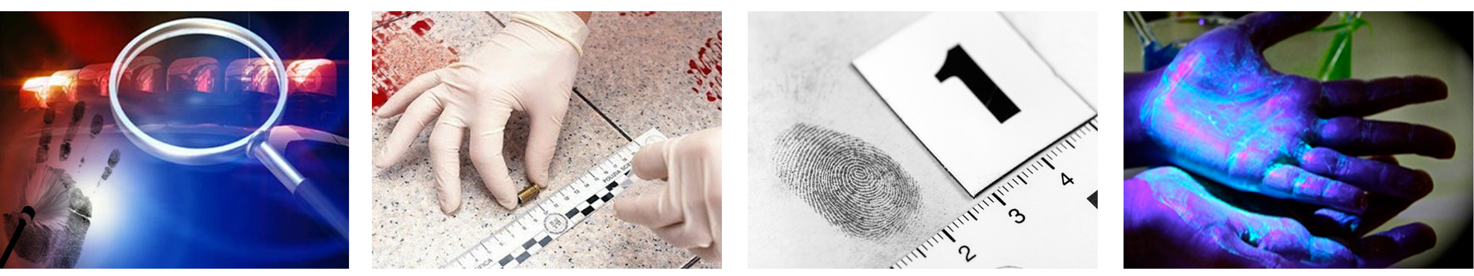 Master Forensic Sciences
