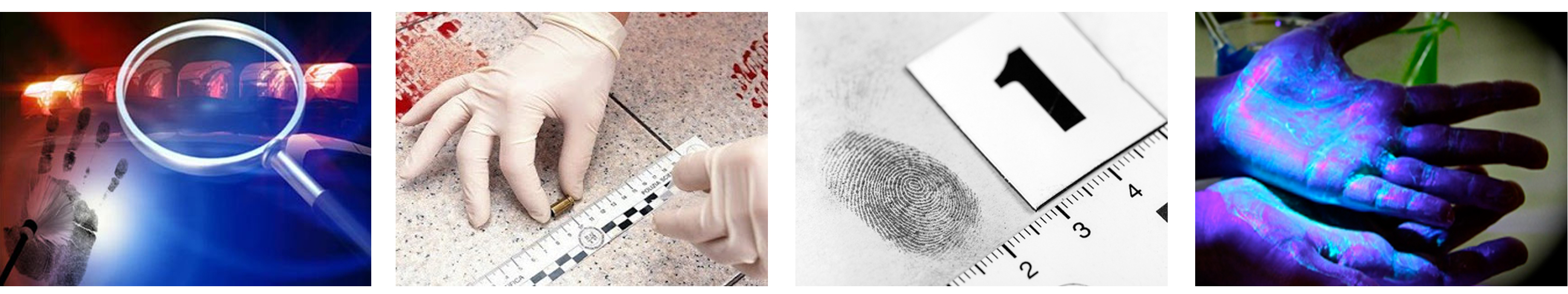 Master's in Forensic Sciences and Laboratory Techniques